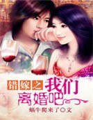 《错嫁之我们离婚吧》