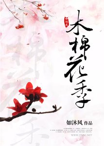 《木棉花季》