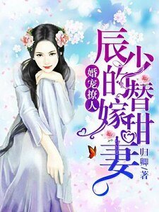 《婚宠撩人:辰少的替嫁甜妻》