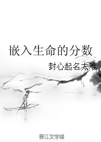 《嵌入生命的分数》
