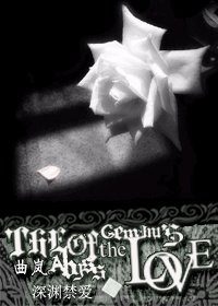 《The abyss of the Gemini's love》