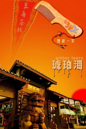 琥珀泪（又名：同志挽歌）