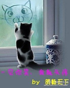 《一见你笑,我就头疼》