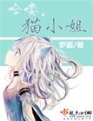 《哈喽,猫小姐》