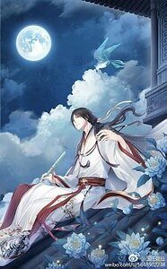《(综同人)(综)弦华锦瑟》