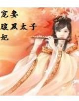 《宠妻:腹黑太子妃》