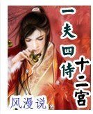 《一夫四侍十二宫》