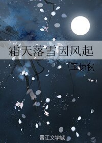 《(剑三同人)霜天落雪因风起》