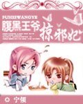 《腹黑王爷掠邪妃》