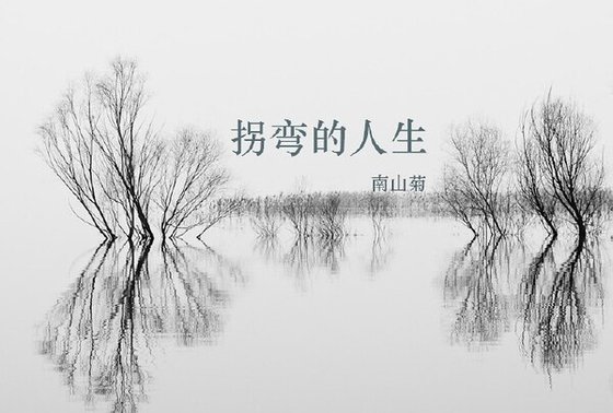 《(综电视剧同人)拐弯的人生》