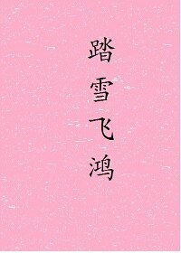 踏雪飞鸿