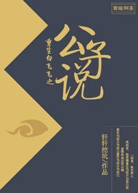 《(武林外史同人)重生白飞飞之公子说》
