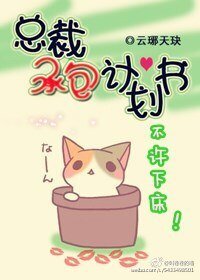 《总裁承包策划书》