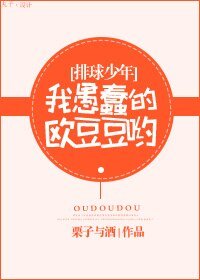 《(排球少年同人)我愚蠢的欧豆豆哟》
