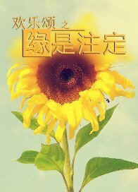 《(欢乐颂同人)欢乐颂同人之缘是注定》