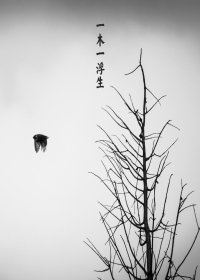 《浮生千绪系列之拈花》