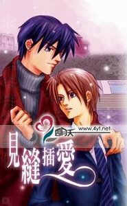 《见缝插爱(出书版)》