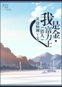 （猎人同人）[猎人]我是金·富力士