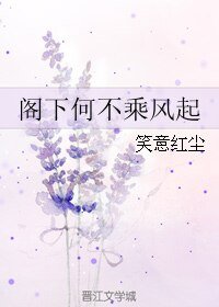 《阁下何不乘风起》