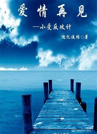 《爱情再见》