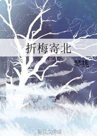《折梅寄北》