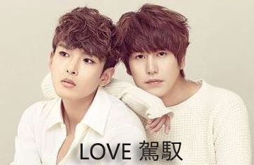 （韩娱同人）LOVE 驾驭