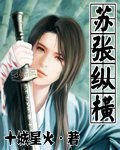 《苏张纵横》