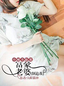 《小城不寂寞:富豪老婆倒追我》