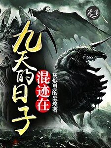 《混迹在九天的日子》