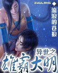 《异世之雄霸大明》