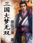 《三国大梦无双》