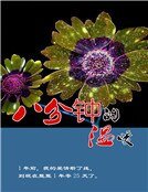 《八分钟的温暖》