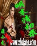 《明末清初录》