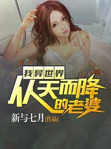 我异世界从天而降的老婆