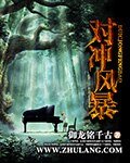 《对冲风暴》