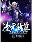《次元独尊》