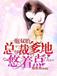 《一胞双胎:总裁爹地悠着点》