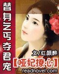 《替身乞丐夺君宠/何处最相思:哑妃撩心》