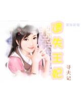 遗失王妃寻夫记