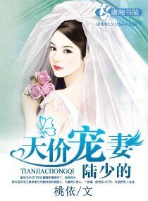 《陆少的天价宠妻》