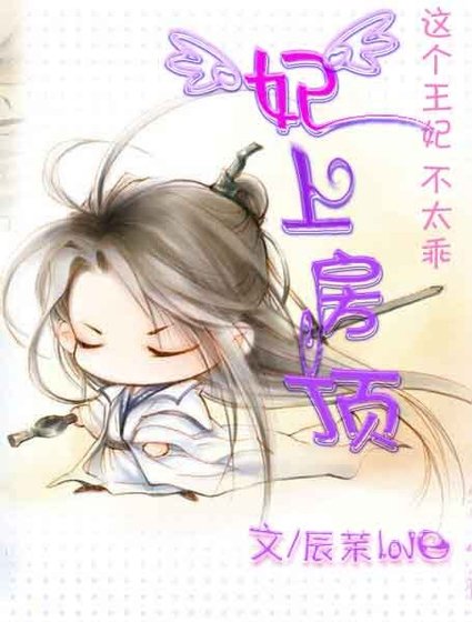 《史上最不乖的王妃:妃上房顶》