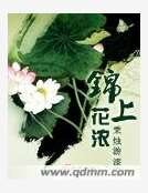 《锦上花浓》