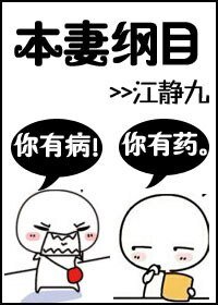 《本妻纲目》