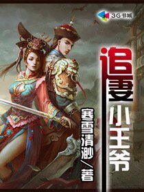 《追妻小王爷》