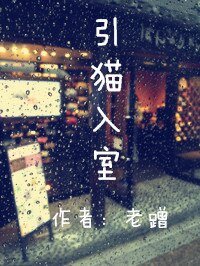 《引猫入室》
