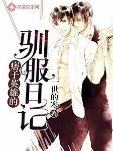 《痞子英雄的驯服日记》