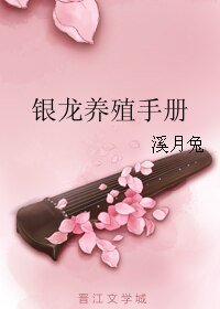 《银龙养殖手册》