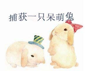 《捕获一只呆萌兔》