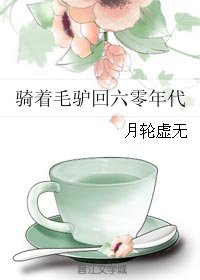 《骑着毛驴回六零年代》