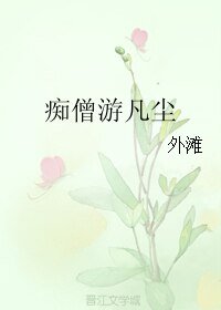 痴僧游凡尘